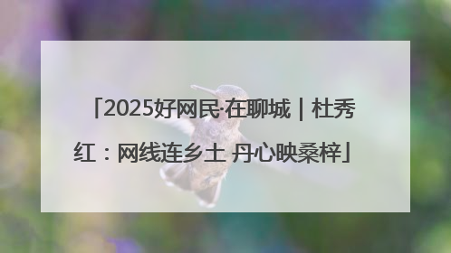 2025好网民·在聊城｜杜秀红：网线连乡土 丹心映桑梓
