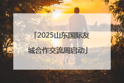 2025山东国际友城合作交流周启动