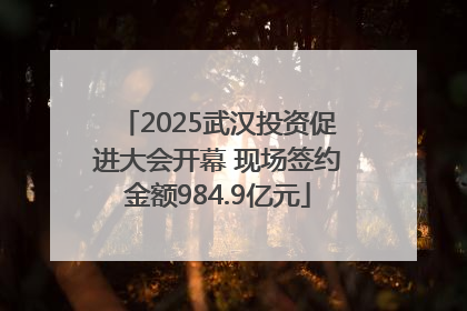 2025武汉投资促进大会开幕 现场签约金额984.9亿元