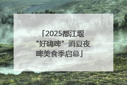 2025都江堰“好嗨啤”消夏夜啤美食季启幕