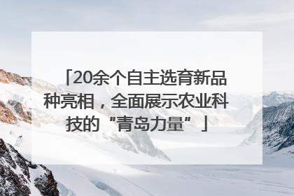 20余个自主选育新品种亮相，全面展示农业科技的“青岛力量”