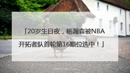20岁生日夜，杨瀚森被NBA开拓者队首轮第16顺位选中！