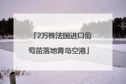 2万株法国进口葡萄苗落地青岛空港