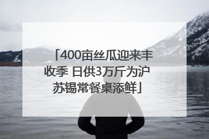 400亩丝瓜迎来丰收季 日供3万斤为沪苏锡常餐桌添鲜