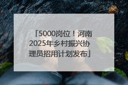 5000岗位！河南2025年乡村振兴协理员招用计划发布