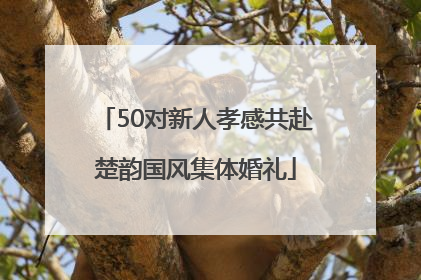 50对新人孝感共赴楚韵国风集体婚礼