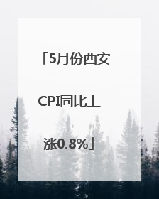5月份西安CPI同比上涨0.8%