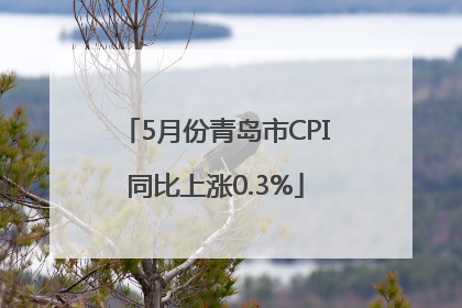 5月份青岛市CPI同比上涨0.3%