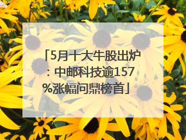 5月十大牛股出炉：中邮科技逾157%涨幅问鼎榜首