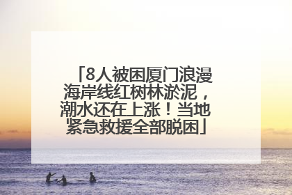8人被困厦门浪漫海岸线红树林淤泥，潮水还在上涨！当地紧急救援全部脱困