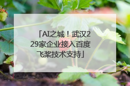 AI之城！武汉229家企业接入百度飞桨技术支持