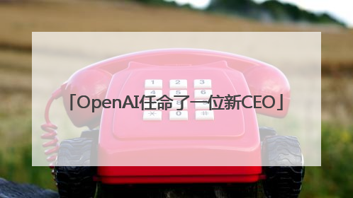 OpenAI任命了一位新CEO