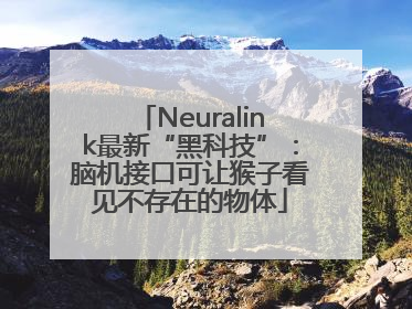 Neuralink最新“黑科技”：脑机接口可让猴子看见不存在的物体